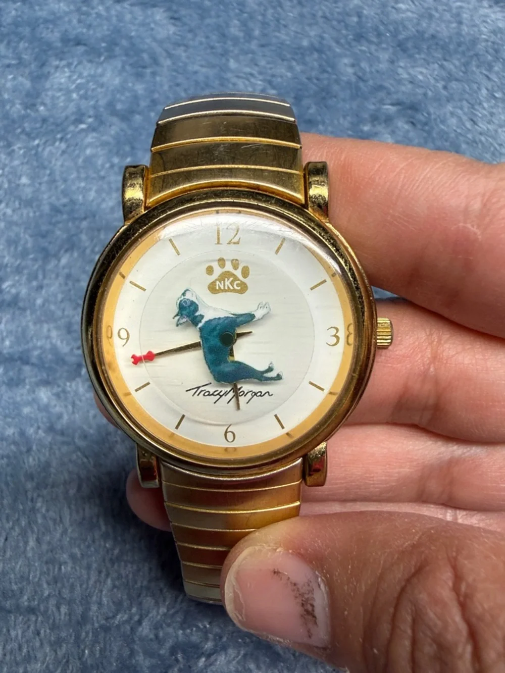 Gold-Tone Women's/Unisex Watch with Blue Dolphin Motif